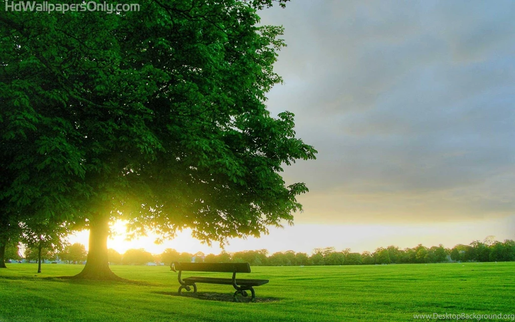 Sunrise Wallpapers Wallpapers Cave