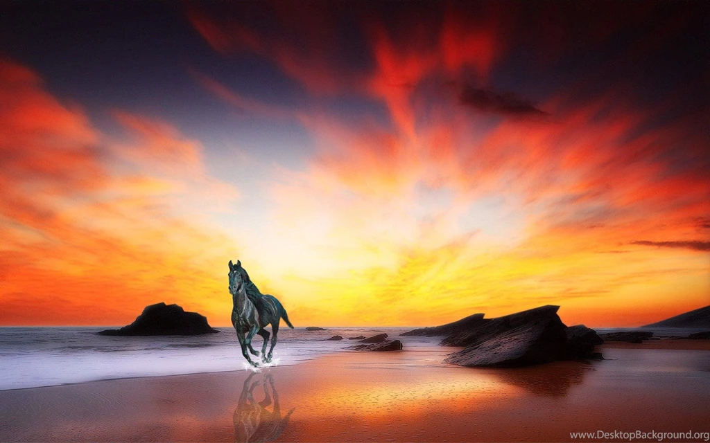 Horse At Sunrise >> HD Wallpaper, Get It Now!