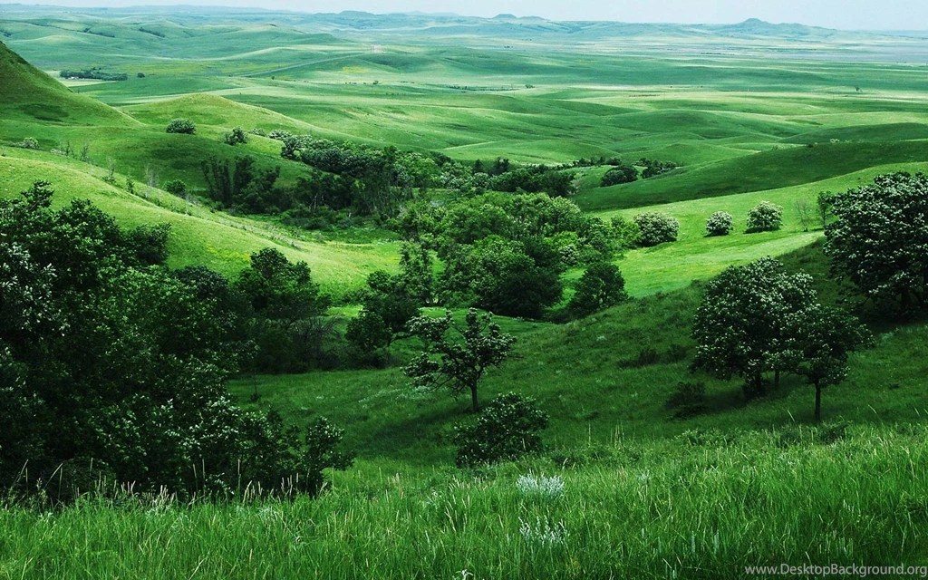 Grassland Backgrounds   Wallpapers Cave