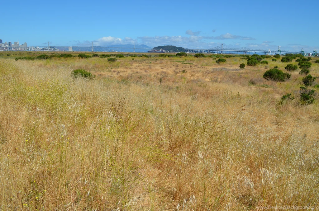 Alameda Point Environmental Report