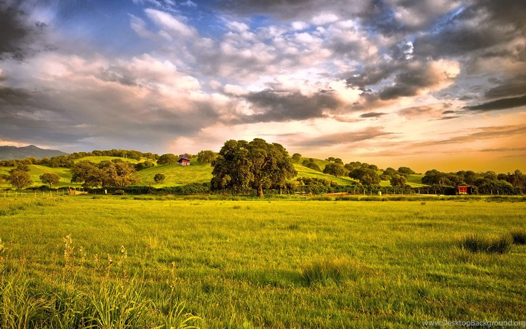 Grassland Wallpapers Full HD Wallpapers Search