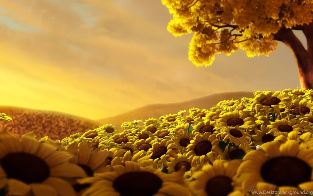 Amazing Computer Backgrounds HD.jpeg