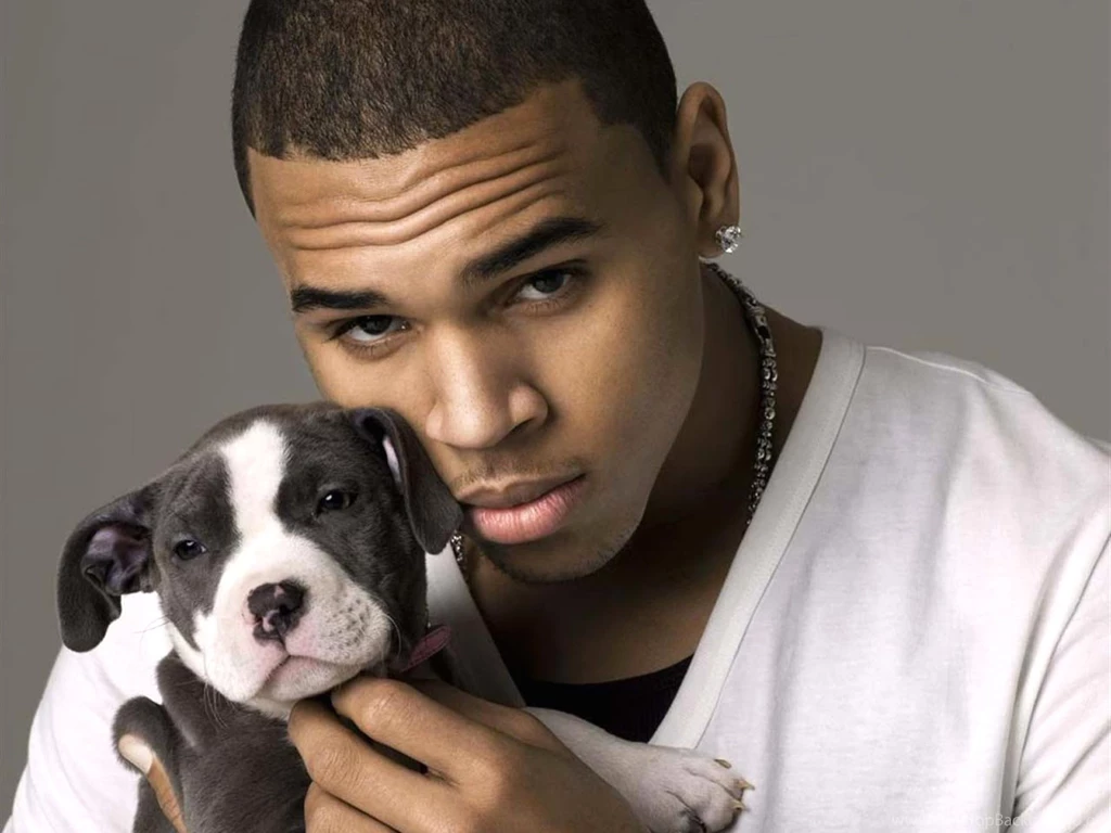 Chris Brown Wallpapers And Images Wallpapers, Pictures, Photos