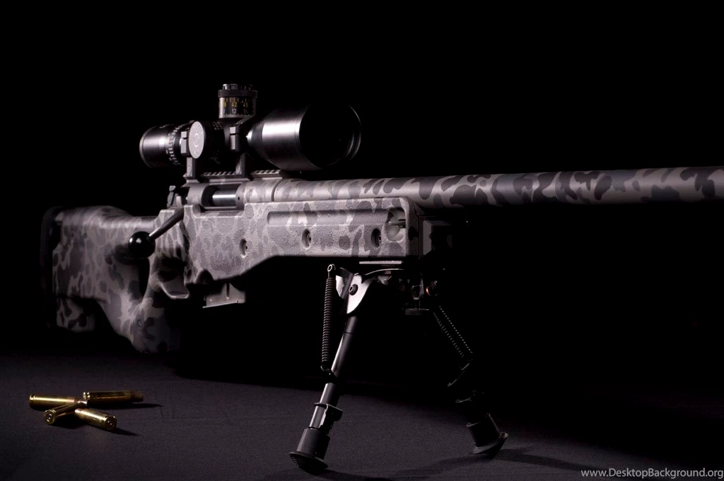 M14, M16, Sturmgewehr, Springfield, Steyr Aug, M1 Grand, AK 47 ...