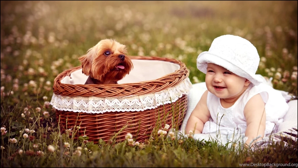 Wallpapers Cute Baby Free Download   5 Items