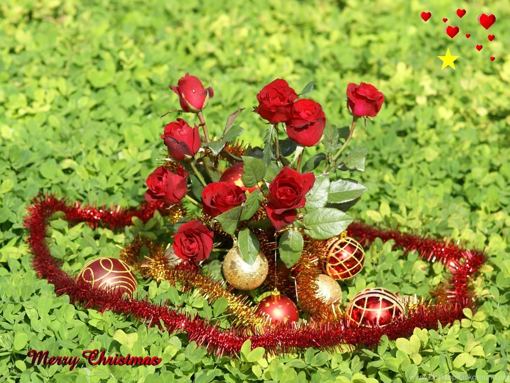 Photos Of Nature And Flowers All Wallpapers New