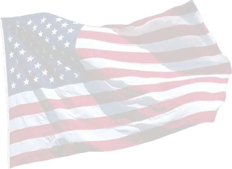 Moleskinex19: American Flag Backgrounds
