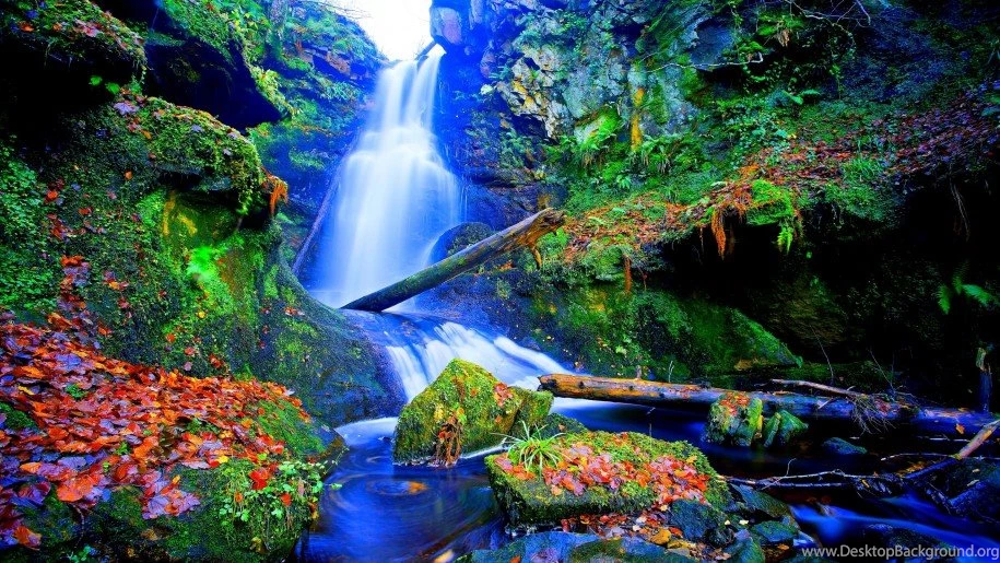 Forest Falls Desktop Backgrounds Wallpapers 1592428 25600x1600 Falls ...