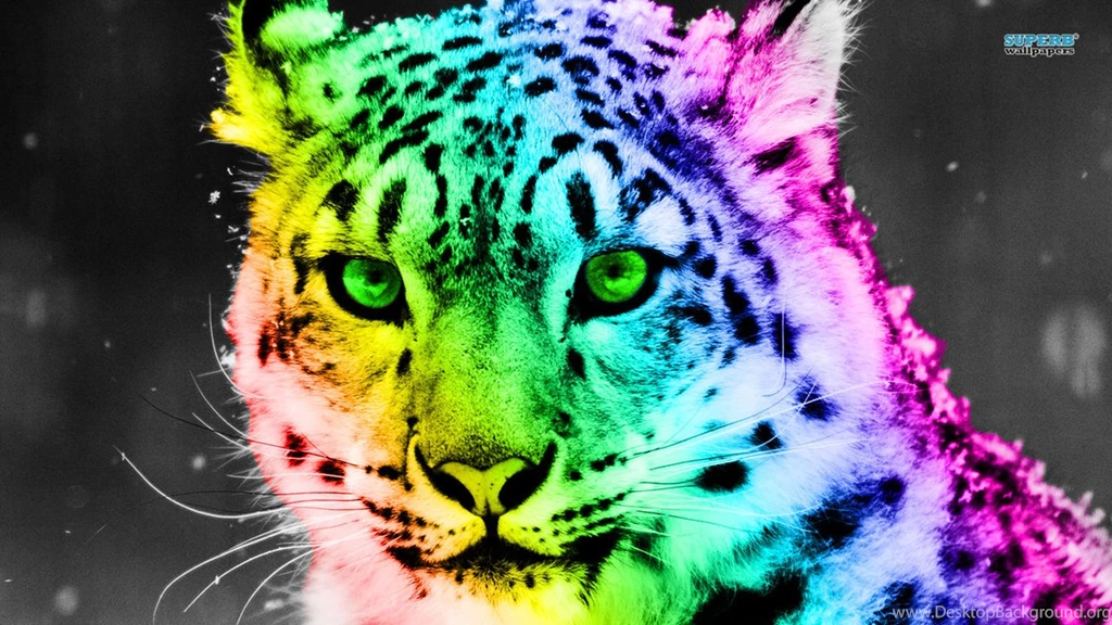 Colorful Leopard – BUZZERG