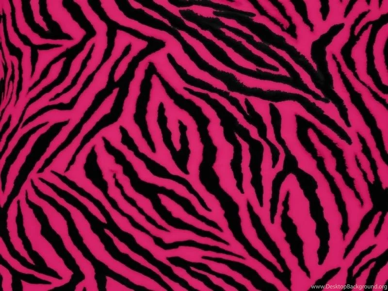 Wallpapers Cheetah Print Colorful Zebra Graphics And Comments ...