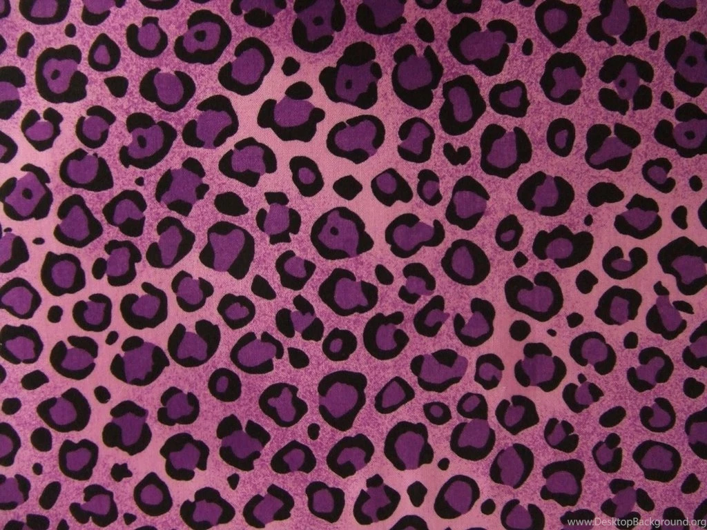 Purple Leopard Print Wallpapers   Wallpapers HD Wide