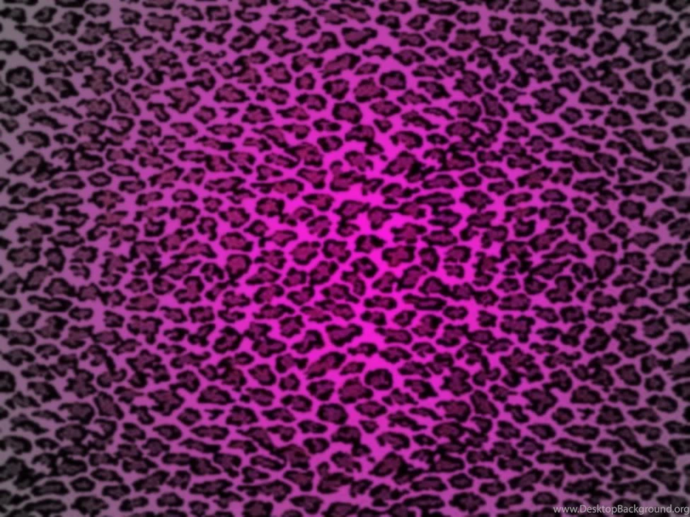 Animal Print Desktop Backgrounds   Wallpapers Cave