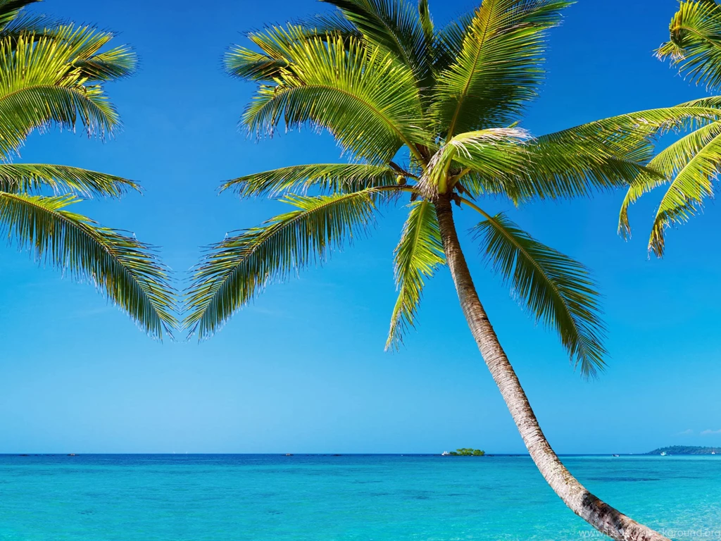 Barnes And Noble Nook HD Plus Skins Vinyl Popular Designs