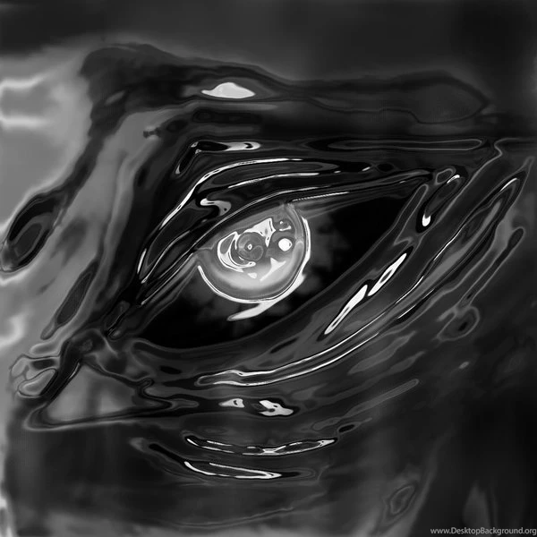 Browse Art   DeviantArt