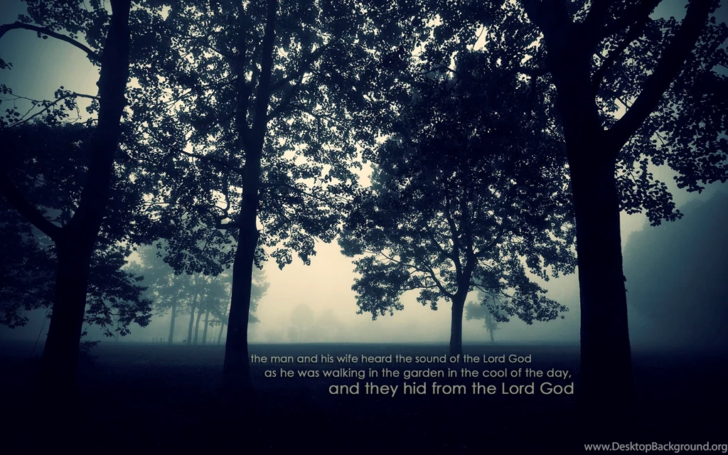 Christian Cool Fog Trees Garden Voice Walking Man Heard Sound God ...