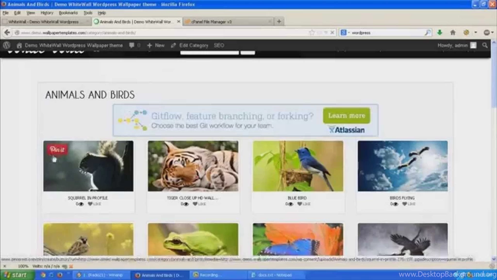 The Best Theme Wordpress Wallpapers Script YouTube