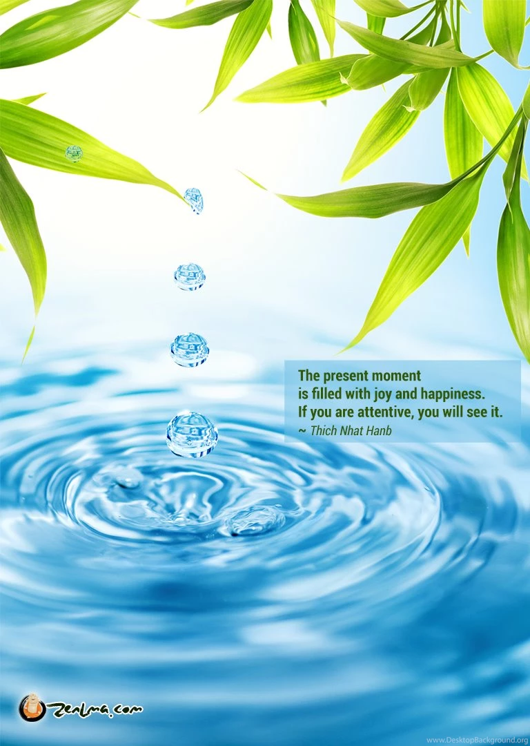 Free Zen Lama Wallpapers