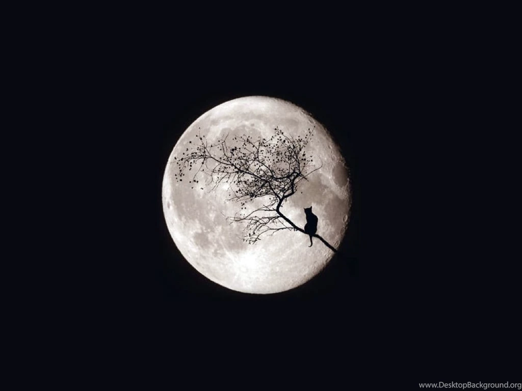 Moon Computer Wallpapers, Desktop Backgrounds