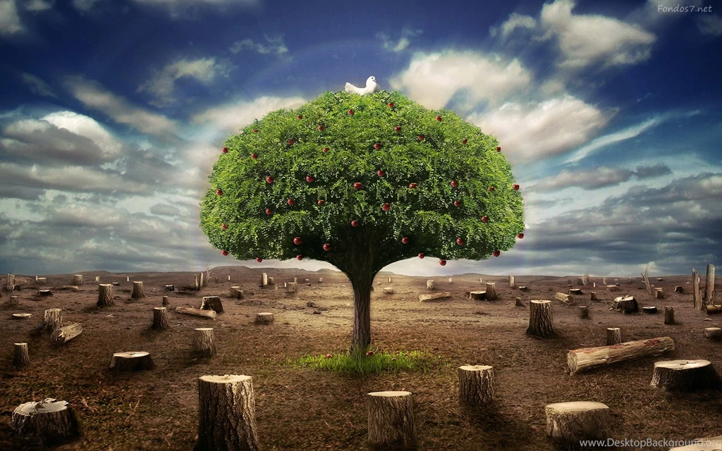 Wallpapers Hd Widescreen 3d