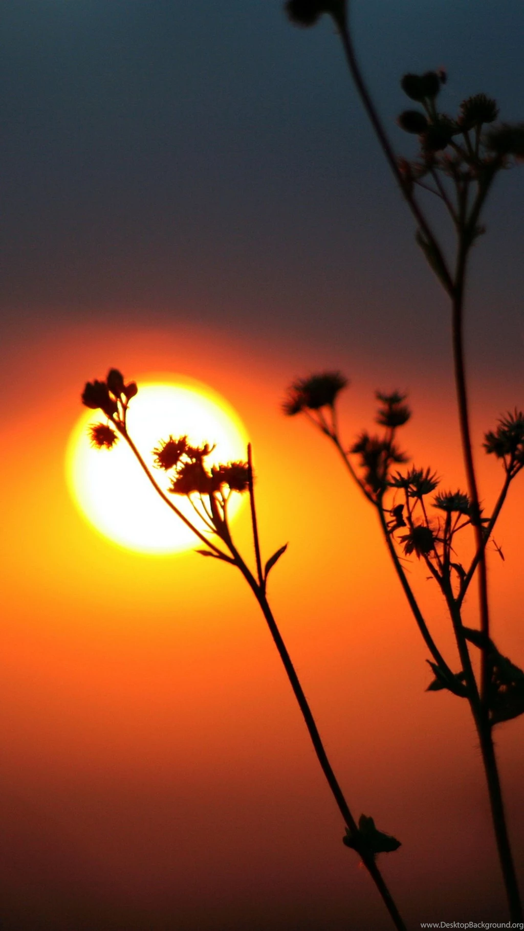 Wallpapers For Samsung Galaxy S4   Thousands Of HD Wallpapers For ...