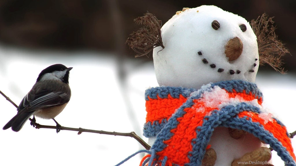 Download Wallpapers 1920x1080 Tomtit, Bird, Snowman, Scarf, Snow ...