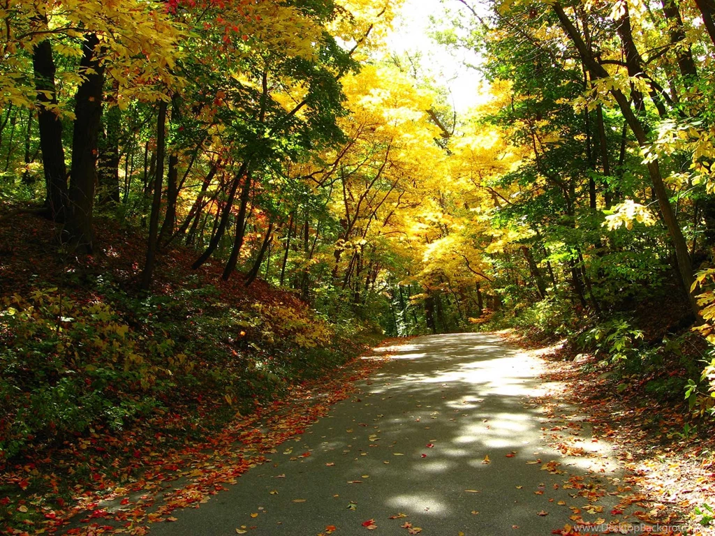 Autumn Screen Wallpapers   Wallpapers Cave