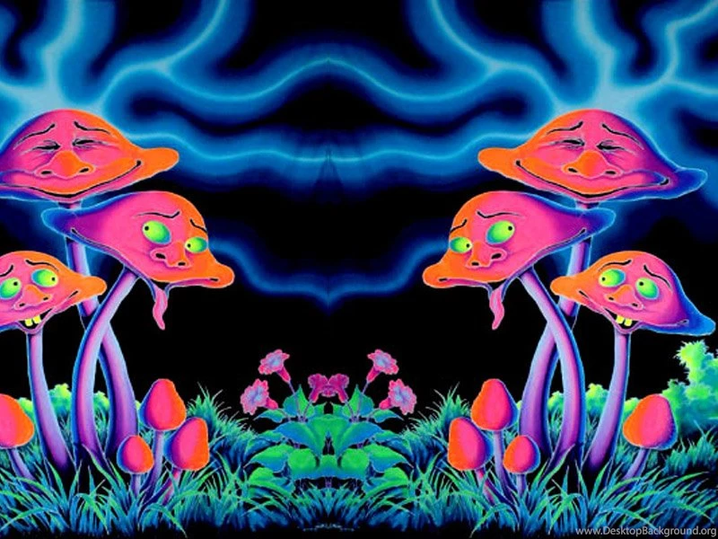Psychedelic Mushroom Wallpapers Free HD Background Images Pictures