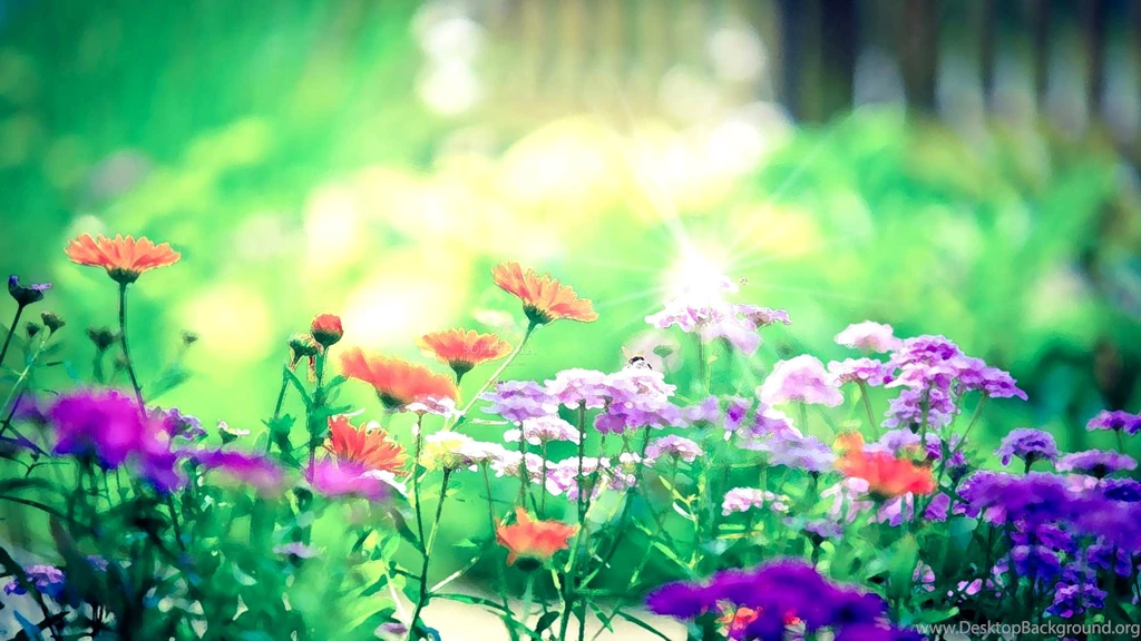 Free Wallpapers Screensavers 5 Items
