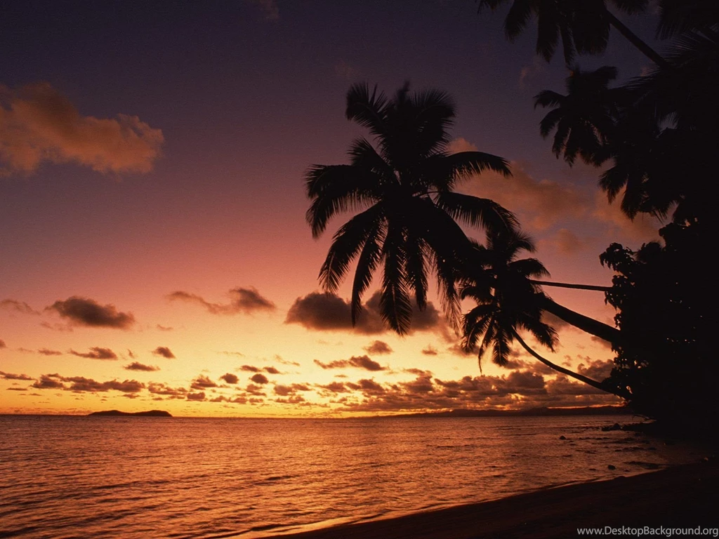 Nature: Island Sunset, Fiji, Picture Nr. 40411