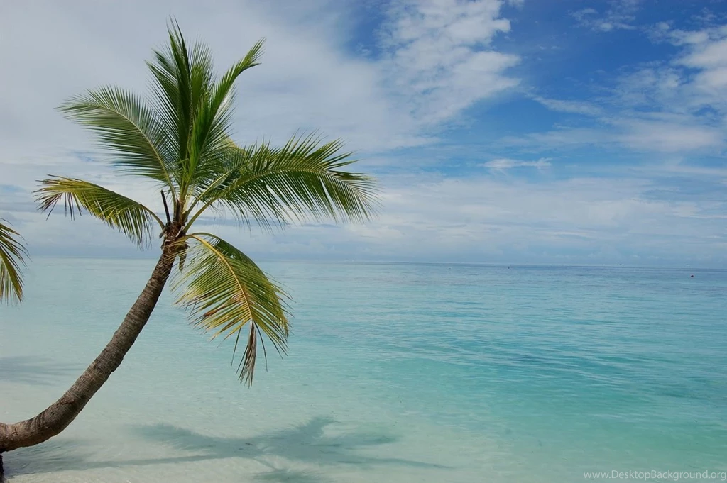 Vacation On Fiji Islands – Travel Around The World – Vacation Reviews