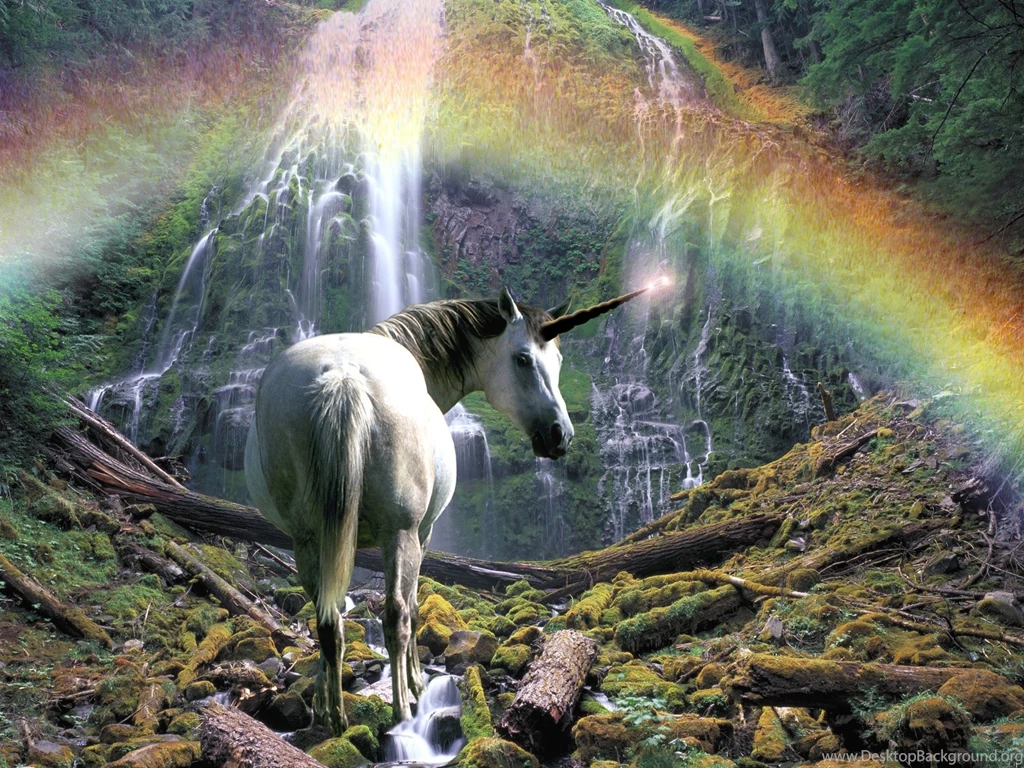 Wallpapers Magical Animals Unicorns Rainbow Fantasy Image