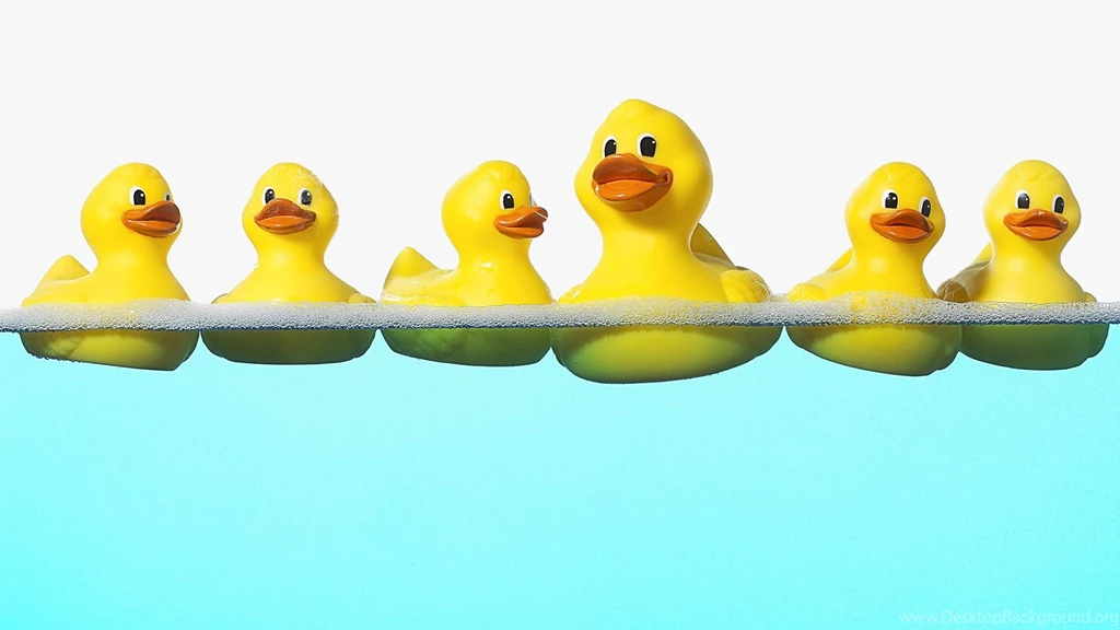 1920x1080 Rubber Ducks Taking Bath Desktop PC And Mac Wallpapers