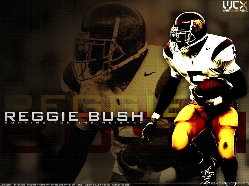 Reggie Bush Abstract Wallpapers NFL
