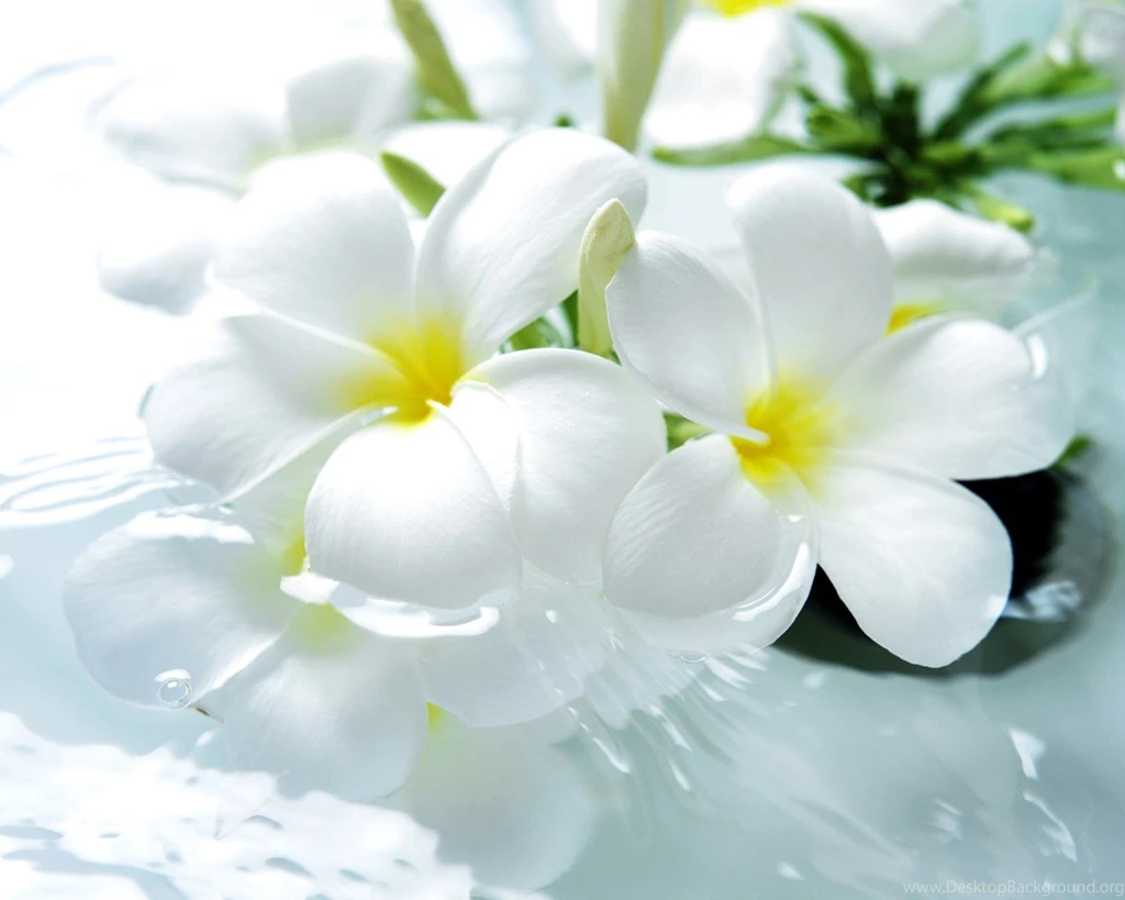 Bathroom Charm : Bathroom Stills, Bathroom Essentials, Bath Room ...