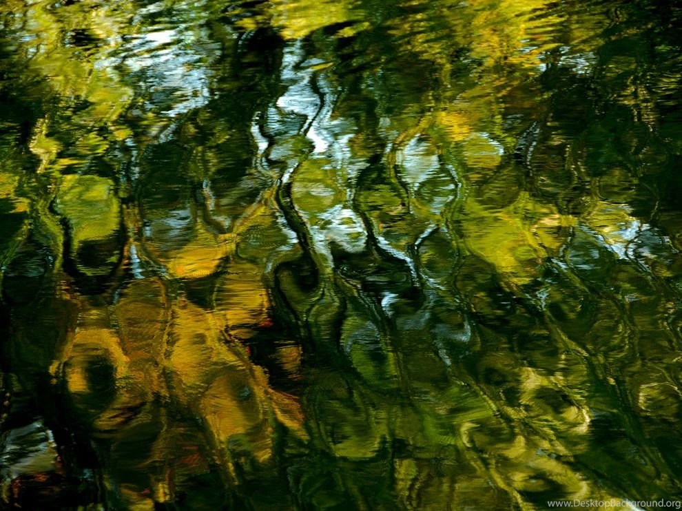 Ngpc painting water surface_26795_990x742.jpg