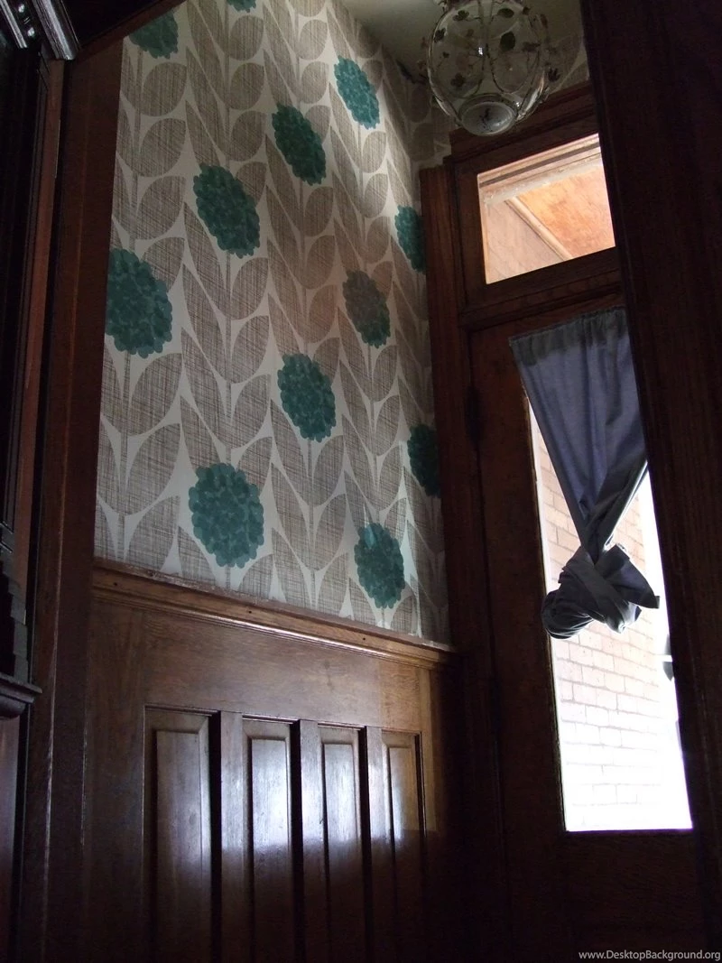 Orla kiely wallpapers