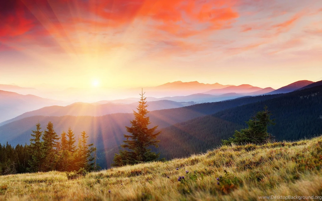 Mountains Covered Forest Background Images >> HD Wallpaper, Get It ...