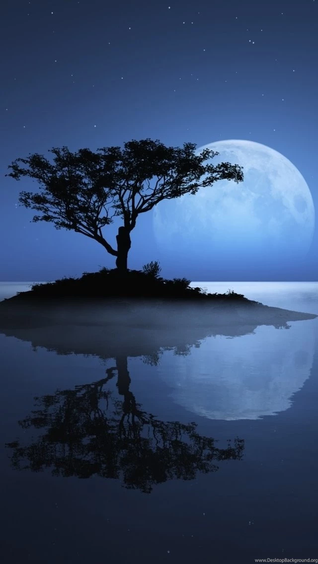 Lost iPhone 5s Wallpapers