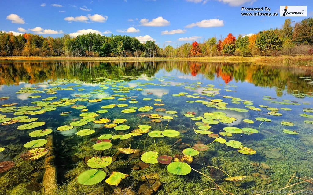 Beautiful Landscape Scenery   Photo 229 Of 395