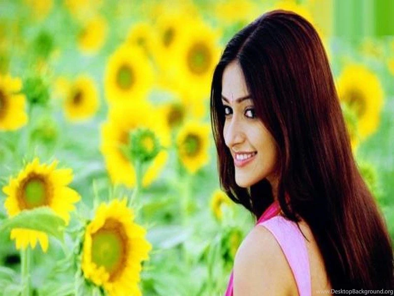 Ileana Beautiful Wallpapers