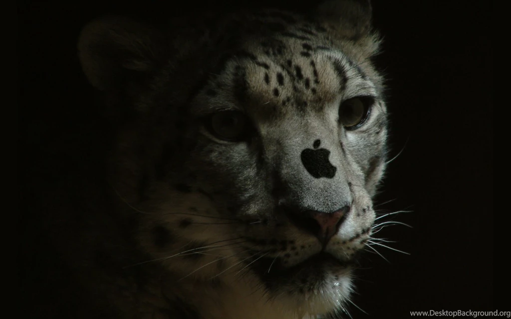 Apple Leopard Wallpapers   10693