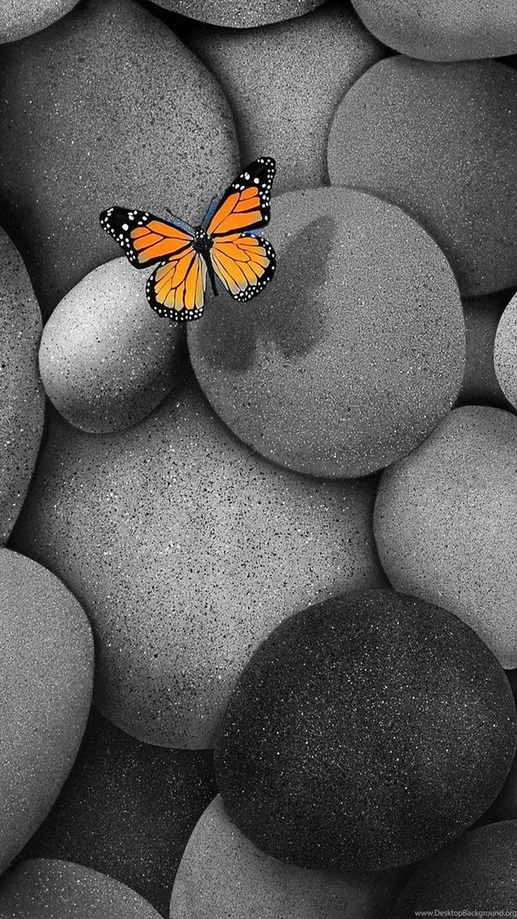 Z Wallpapers Lg G3 Butterfly 1440 2560 870 1440 X 2560 Lg G3 ...