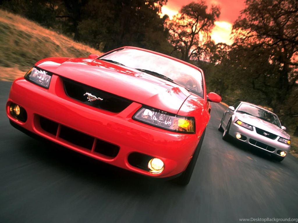 Mustang cobra wallpaper 218.jpg