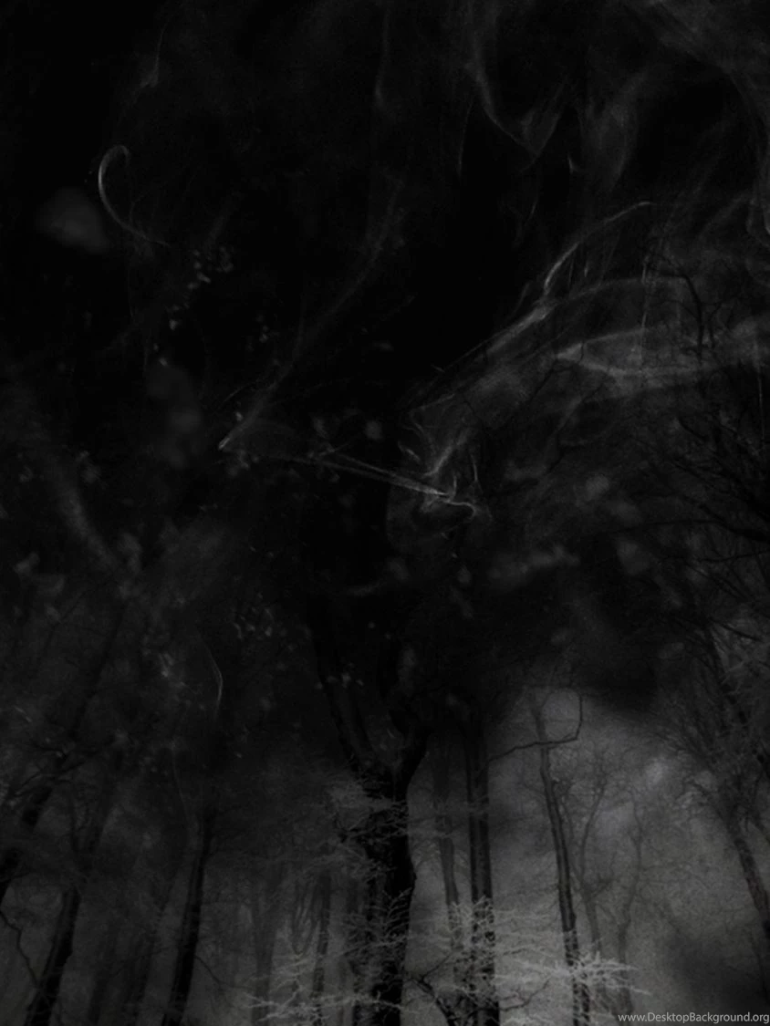 Smokey Forest Backgrounds By Asmodeisis On DeviantArt