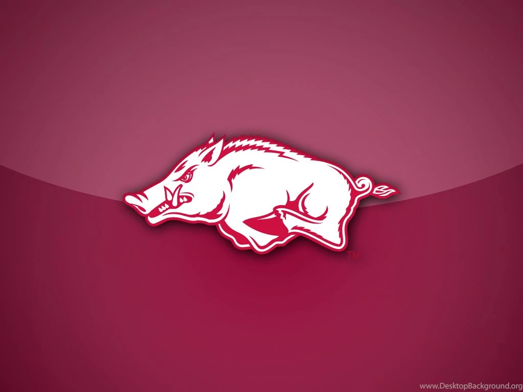 Razorback Wallpapers HD Bing Images