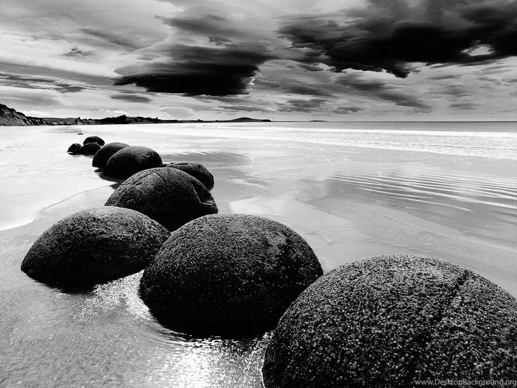 Black And White Nature Wallpapers 71402