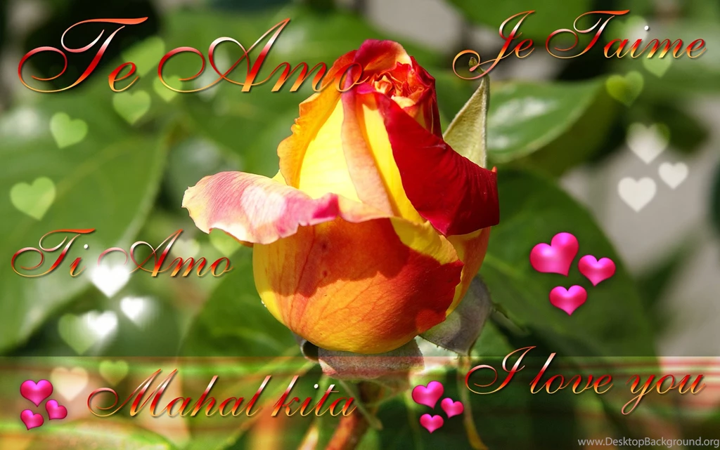 Happy Valentine's Day Cards And Wallpapers Happy Valentine's Day ...