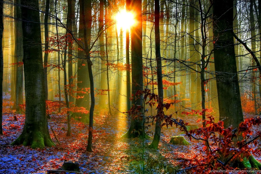 Latest Hd Wallpapers Hd Wallpapers Latest Wallpapers Part 21