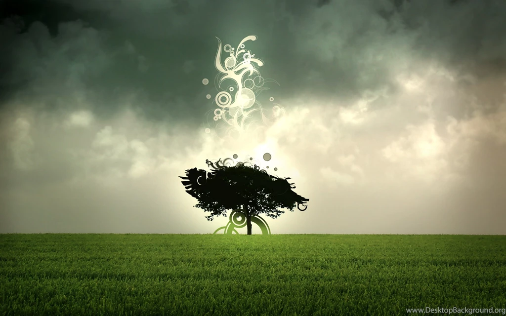 Funny Hd Wallpapers Download Hd 3D