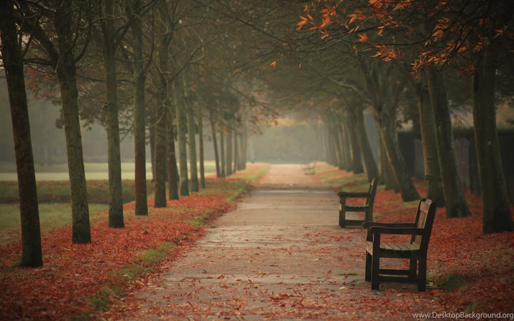 4 Dazzling Wallpapers Of Autumn In NewYork
